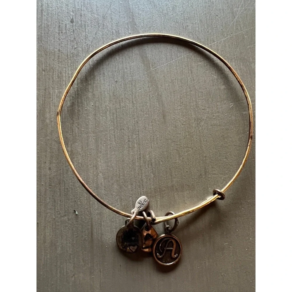 Alex and Ani Bangle Bracelet Lot 11pc Silver Gold Rose Gold Charms